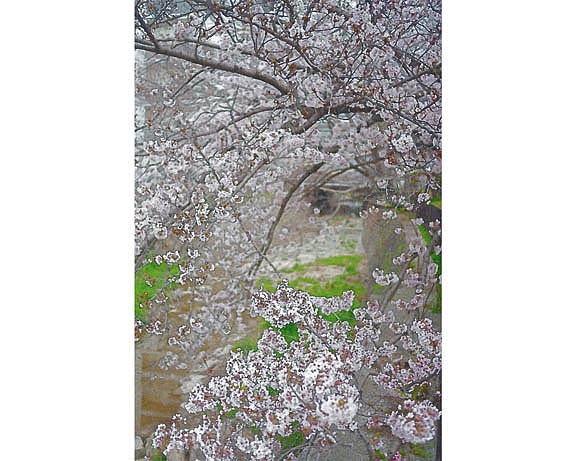 芦屋プラン株式会社 宇治市植物公園